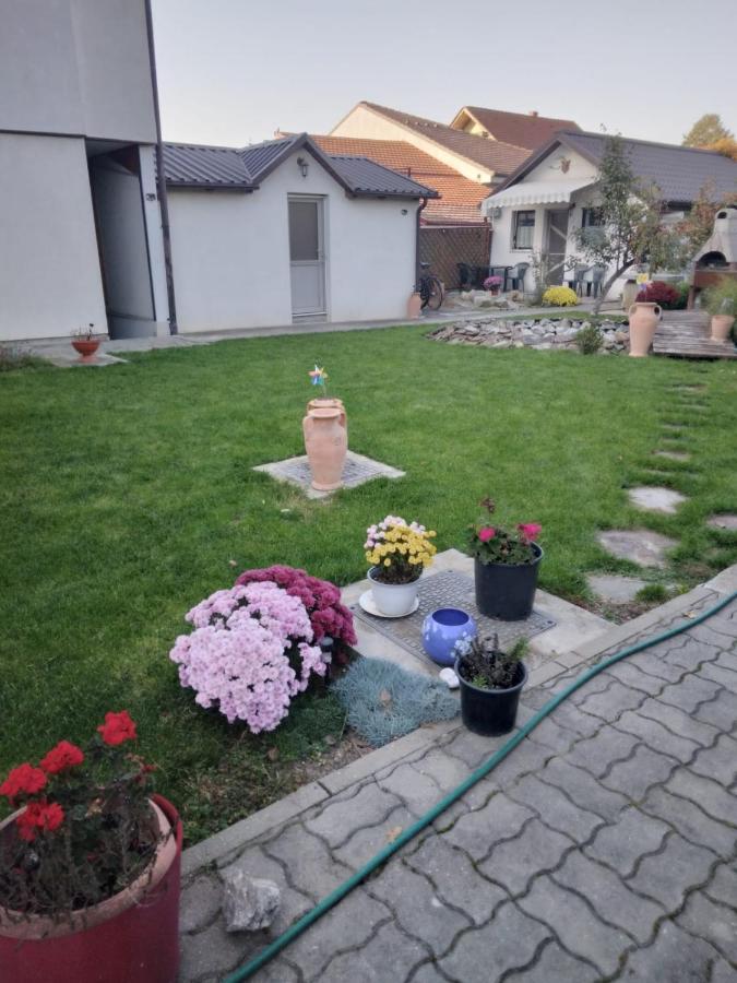 Studio Unique Appartement Timişoara Buitenkant foto